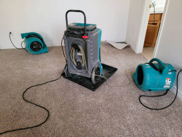 Sewage cleanup and water damage restoration in KY