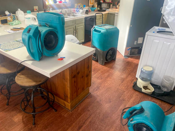Best 24/7 water damage repair  in Fort Knox, KY