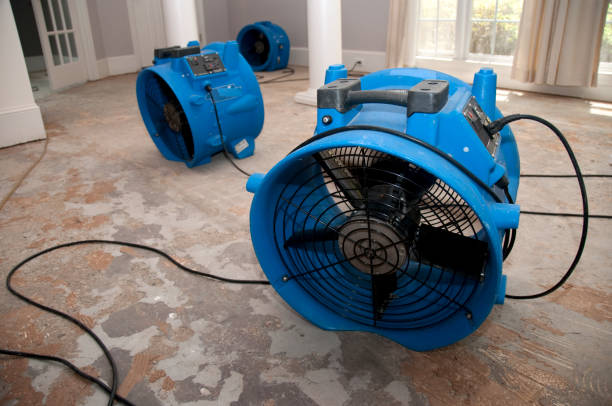 Best Flooded house restoration  in Fort Knox, KY