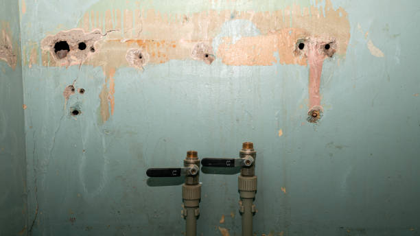 Best Fire Damage Restoration  in Fort Knox, KY