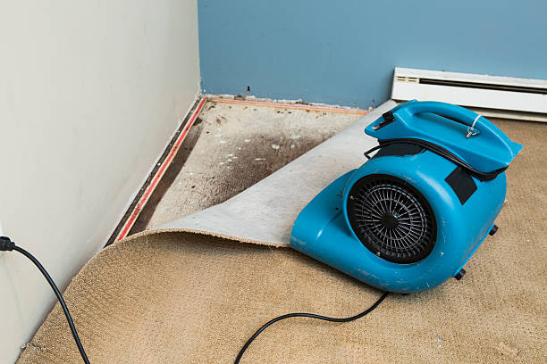 Best Water damage restoration insurance claims  in Fort Knox, KY